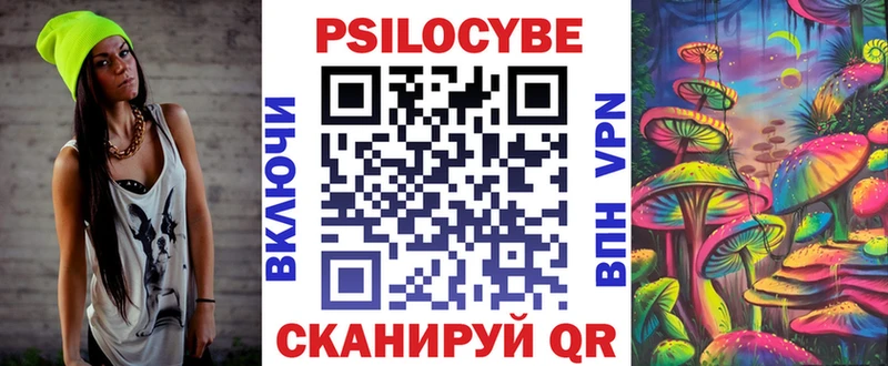 Псилоцибиновые грибы Cubensis  Стародуб 